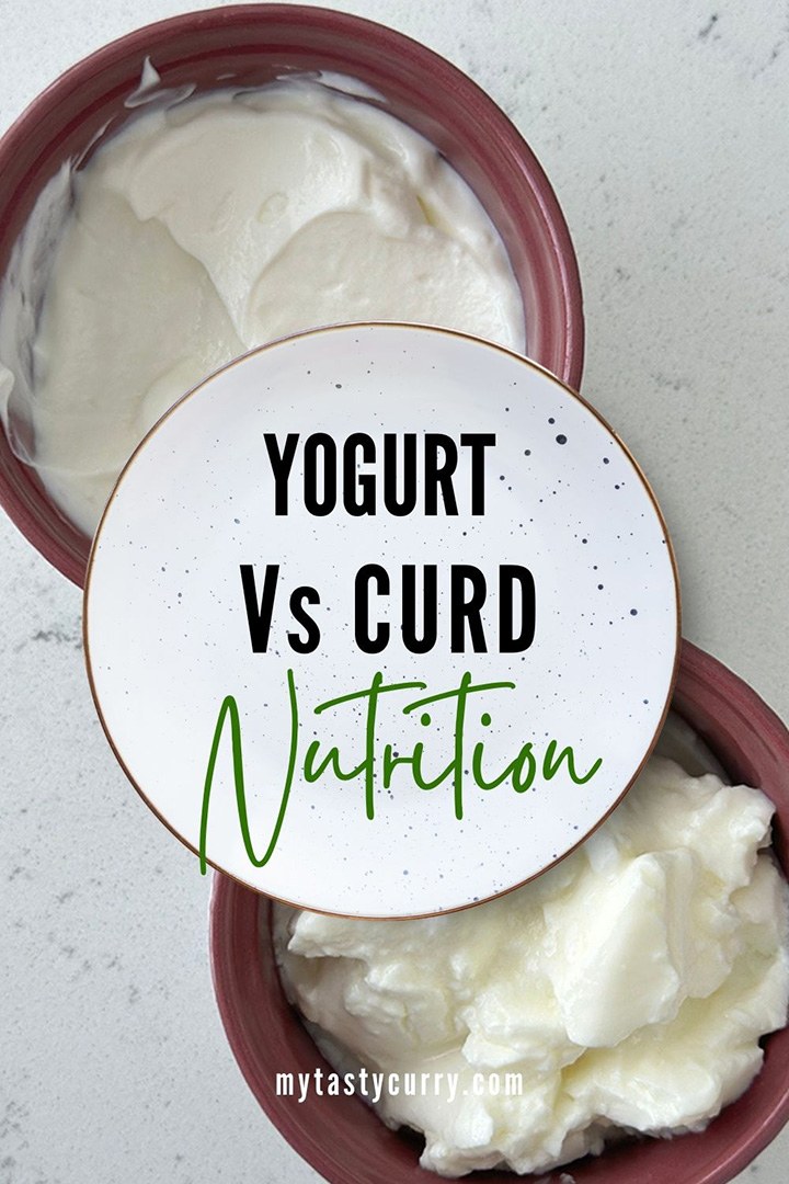 Yogurt Vs Curd: Know The Key Differences - My Tasty Curry