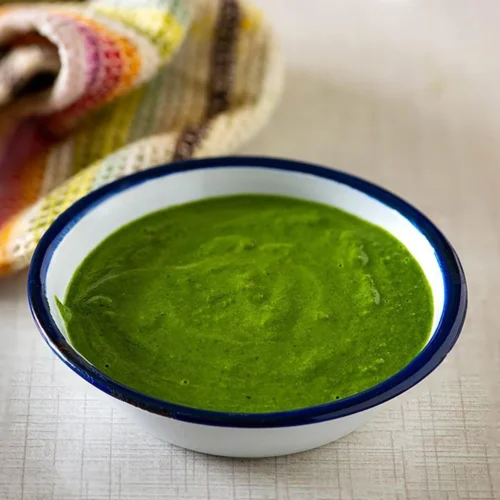 cilantro and mint chutney