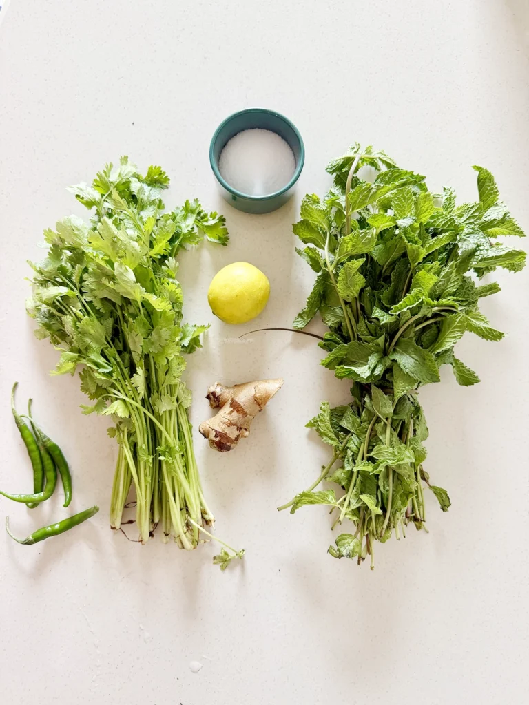 Cilantro and Mint Chutney