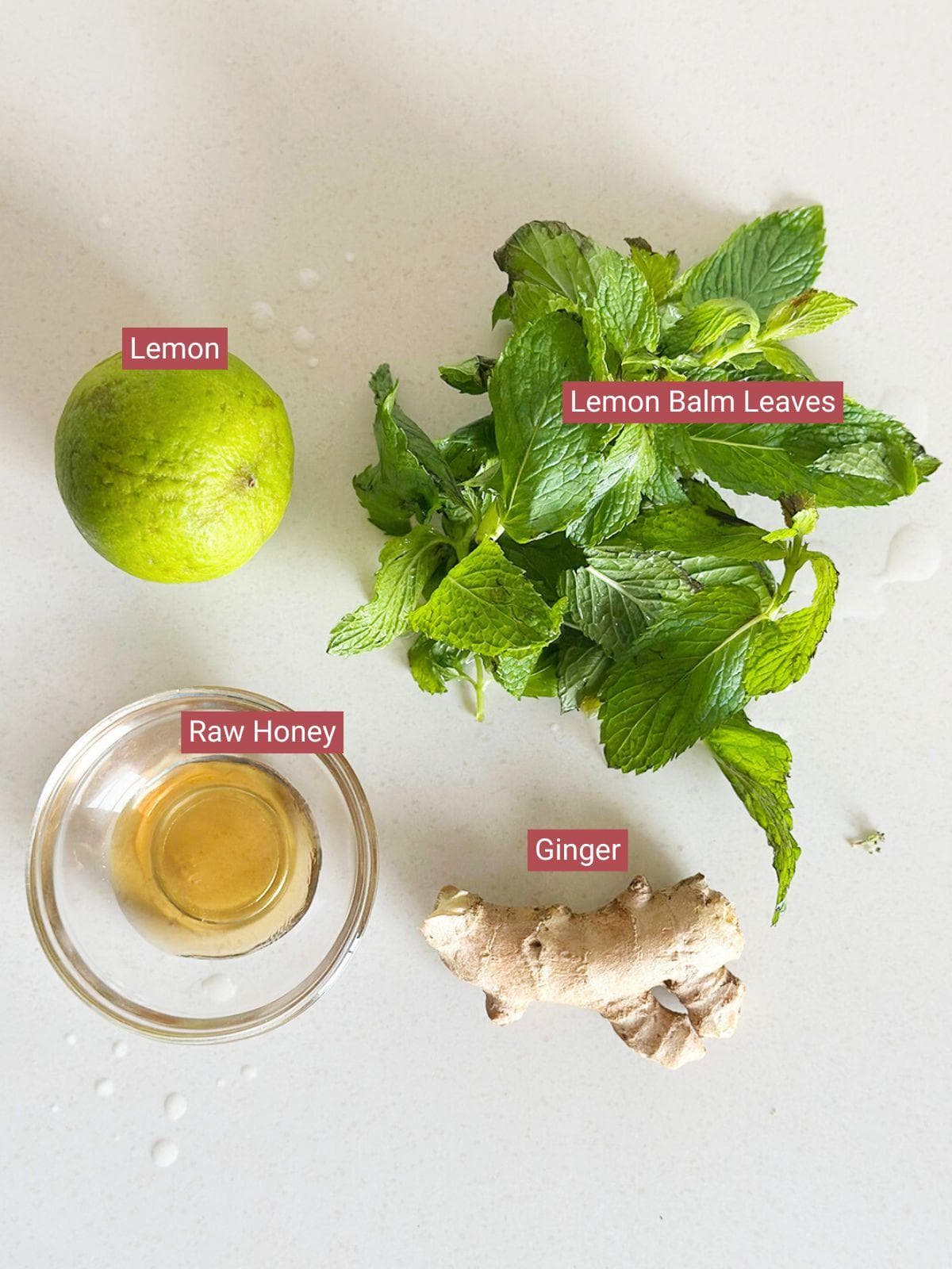 Lemon Balm Recipe | Best Lemon Balm Recipe for Weight Loss