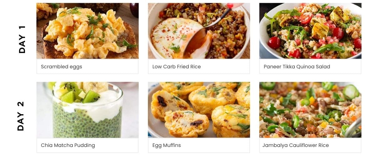 Low Carb Vegan Diet For Weight Loss